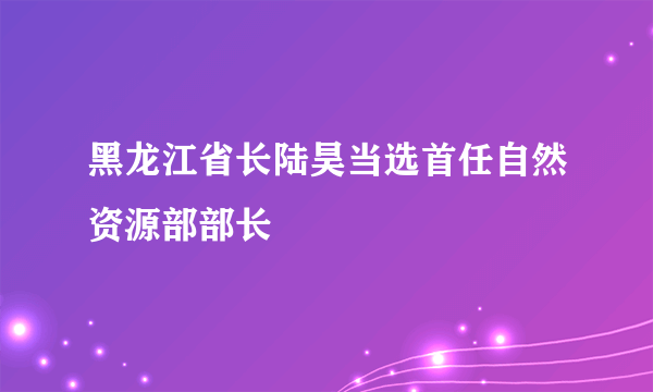 黑龙江省长陆昊当选首任自然资源部部长