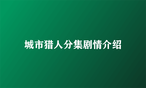 城市猎人分集剧情介绍