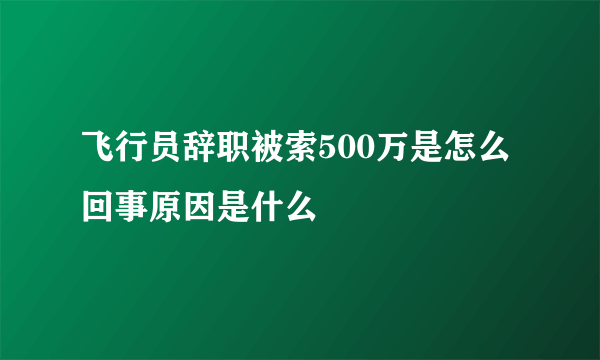 飞行员辞职被索500万是怎么回事原因是什么