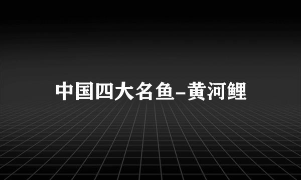 中国四大名鱼-黄河鲤