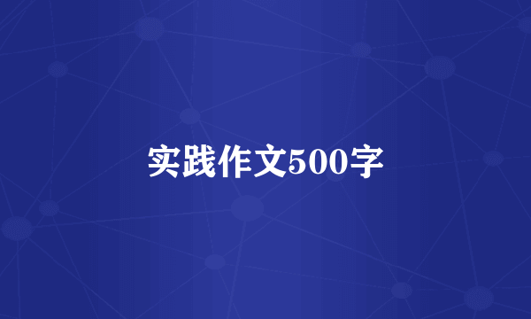 实践作文500字