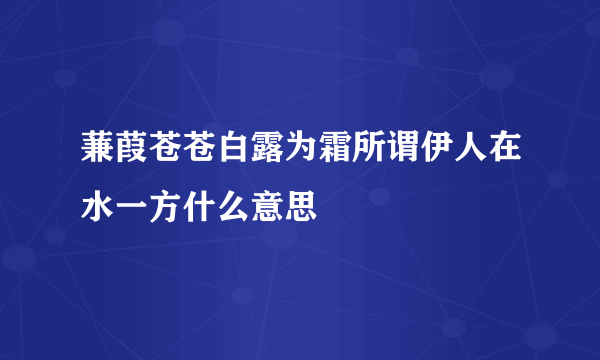蒹葭苍苍白露为霜所谓伊人在水一方什么意思
