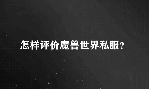怎样评价魔兽世界私服？