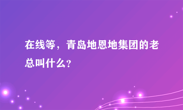 在线等，青岛地恩地集团的老总叫什么？