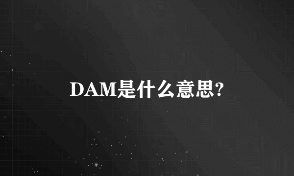 DAM是什么意思?