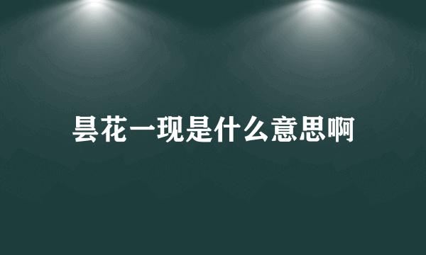 昙花一现是什么意思啊