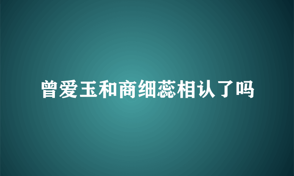 曾爱玉和商细蕊相认了吗