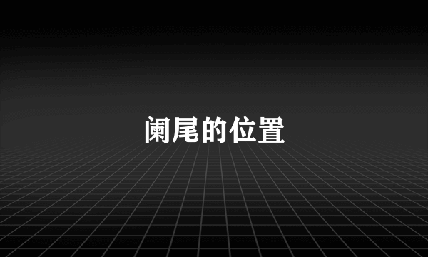 阑尾的位置