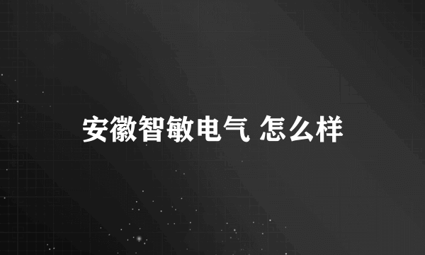 安徽智敏电气 怎么样