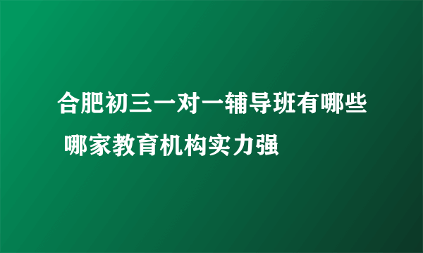合肥初三一对一辅导班有哪些 哪家教育机构实力强