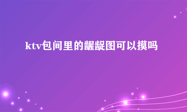 ktv包间里的龌龊图可以摸吗