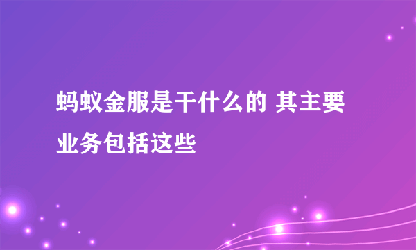蚂蚁金服是干什么的 其主要业务包括这些
