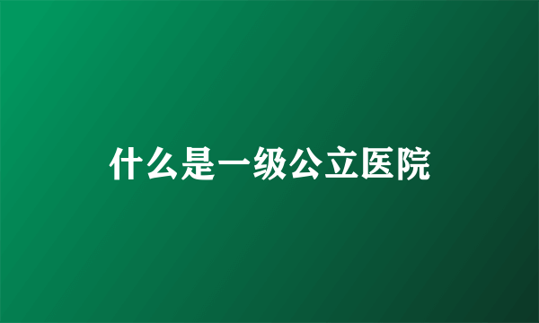 什么是一级公立医院
