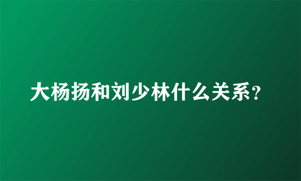 大杨扬和刘少林什么关系？