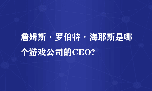 詹姆斯·罗伯特·海耶斯是哪个游戏公司的CEO?
