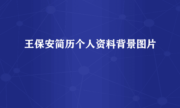 王保安简历个人资料背景图片