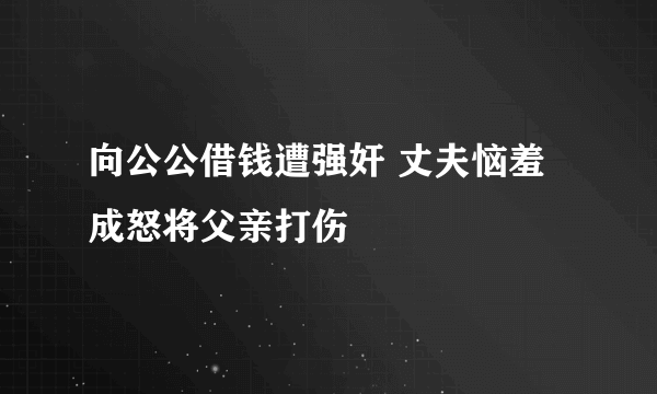 向公公借钱遭强奸 丈夫恼羞成怒将父亲打伤