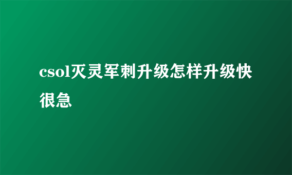 csol灭灵军刺升级怎样升级快很急