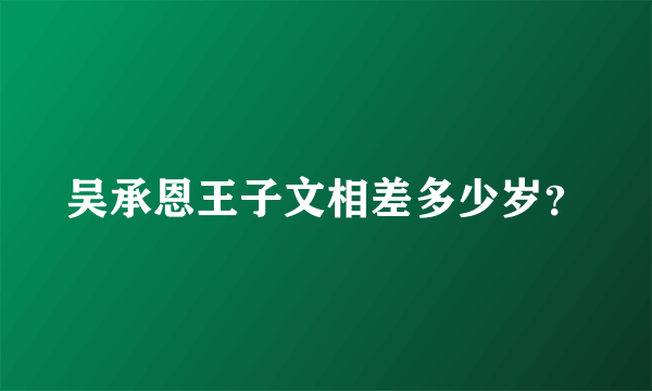 吴承恩王子文相差多少岁？