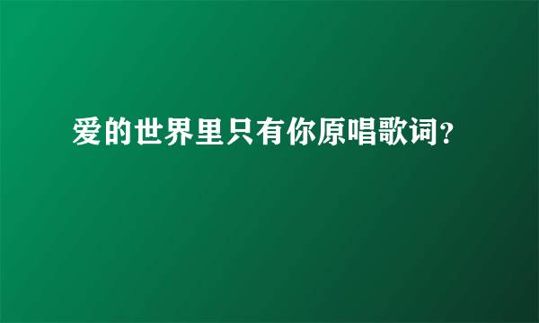 爱的世界里只有你原唱歌词？