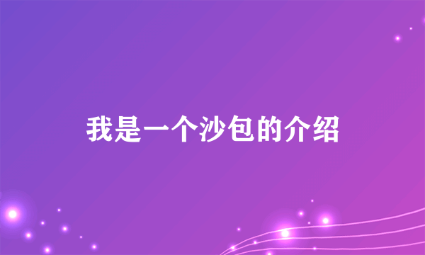 我是一个沙包的介绍