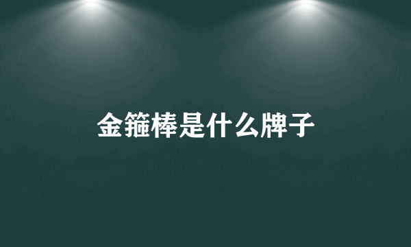 金箍棒是什么牌子