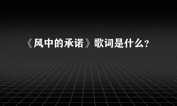 《风中的承诺》歌词是什么？