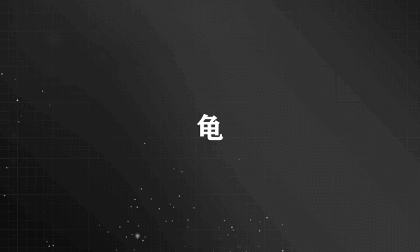 龟