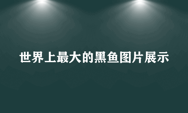 世界上最大的黑鱼图片展示