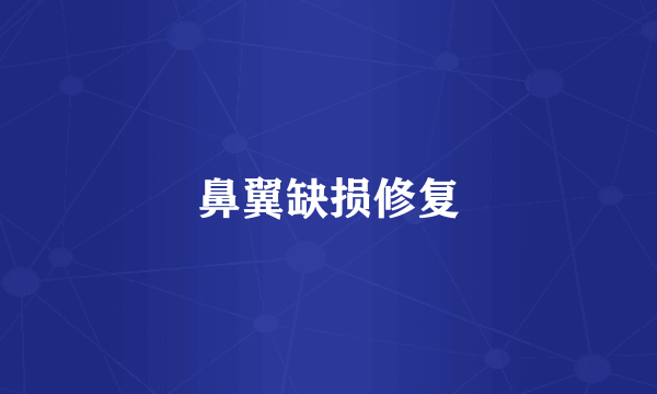 鼻翼缺损修复