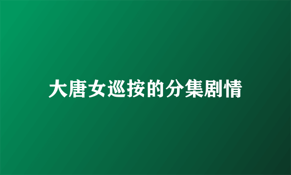 大唐女巡按的分集剧情