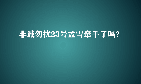 非诚勿扰23号孟雪牵手了吗?