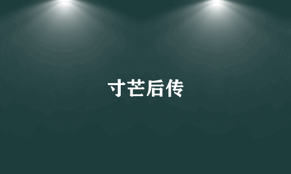 寸芒后传