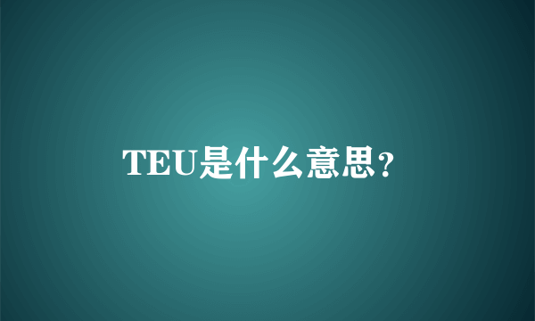 TEU是什么意思？