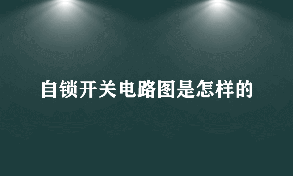 自锁开关电路图是怎样的