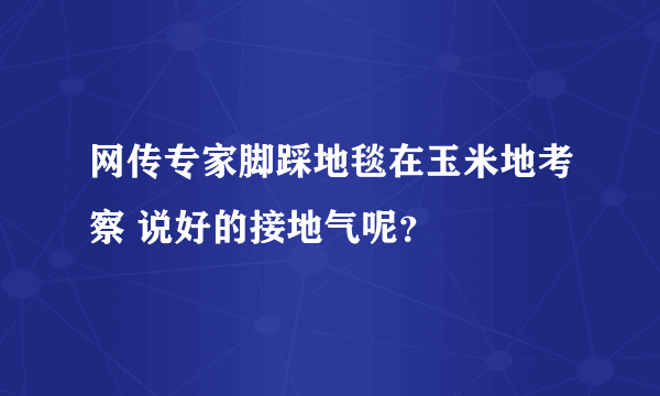 网传专家脚踩地毯在玉米地考察 说好的接地气呢？