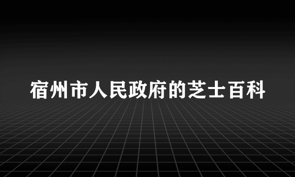 宿州市人民政府的芝士百科
