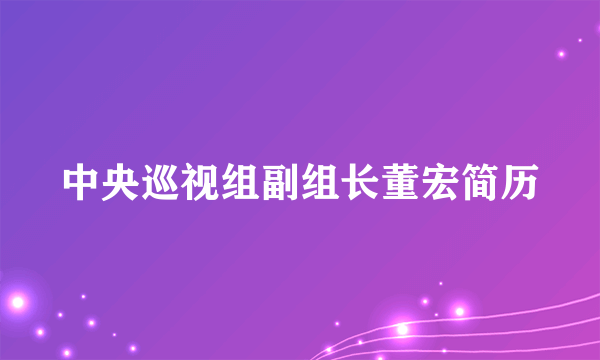 中央巡视组副组长董宏简历