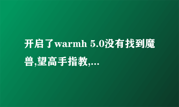 开启了warmh 5.0没有找到魔兽,望高手指教,我玩的1.24e是浩方的
