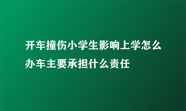 开车撞伤小学生影响上学怎么办车主要承担什么责任