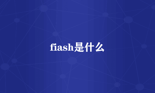 fiash是什么