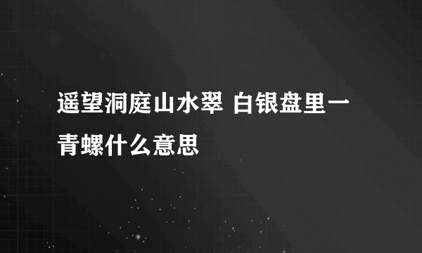 遥望洞庭山水翠 白银盘里一青螺什么意思