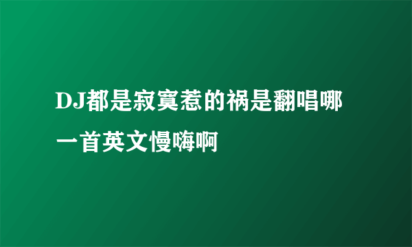 DJ都是寂寞惹的祸是翻唱哪一首英文慢嗨啊