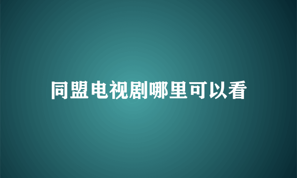 同盟电视剧哪里可以看