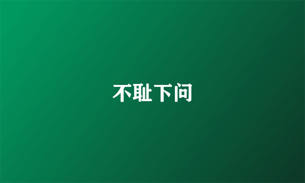 不耻下问