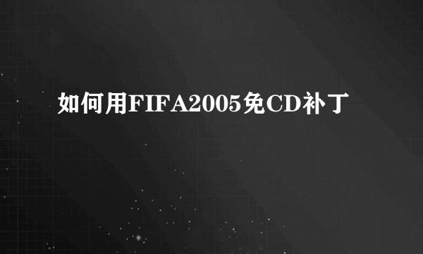 如何用FIFA2005免CD补丁