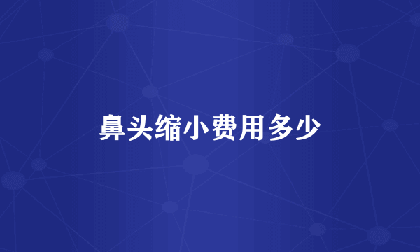 鼻头缩小费用多少
