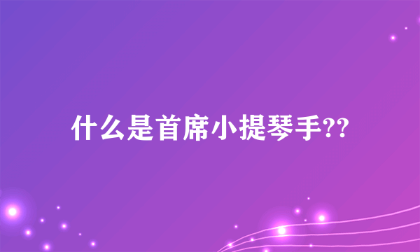 什么是首席小提琴手??