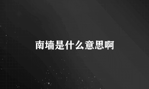 南墙是什么意思啊