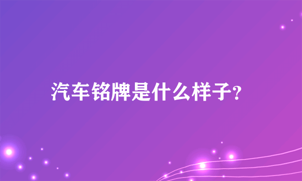 汽车铭牌是什么样子？